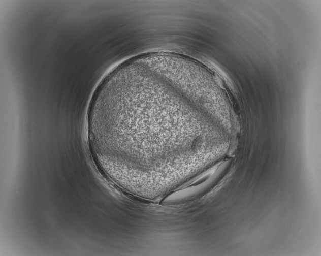 X0000111120940200907141148