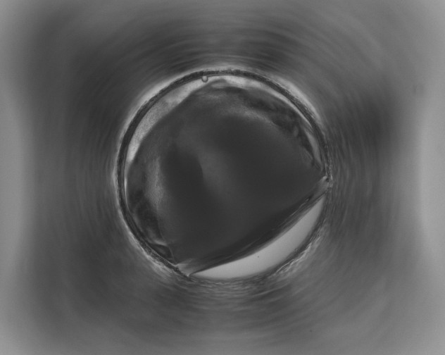 X0000111120943200907141148