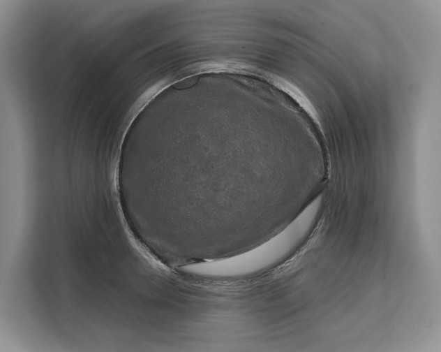 X0000111120946200907141148