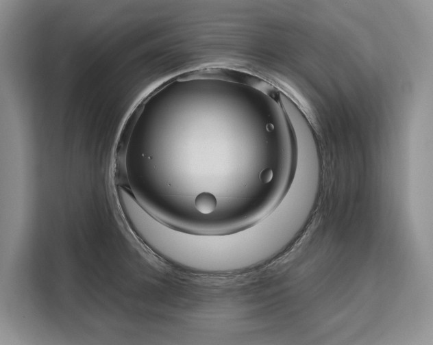 X0000111120948200907141148