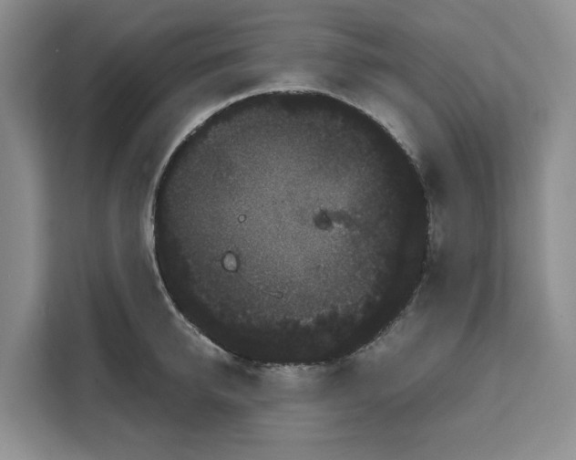 X0000111120950200907141148