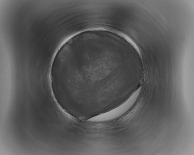 X0000111120951200907141148