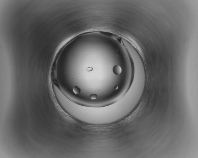 X0000111120952200907141148