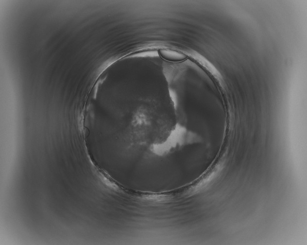 X0000111120953200907141148