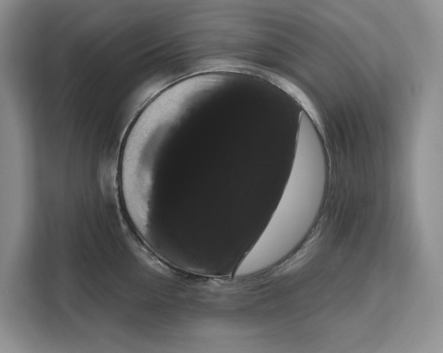 X0000111120954200907141148