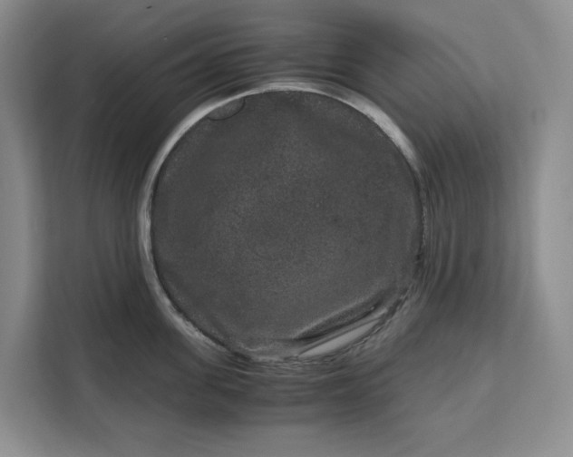 X0000111120955200907141148