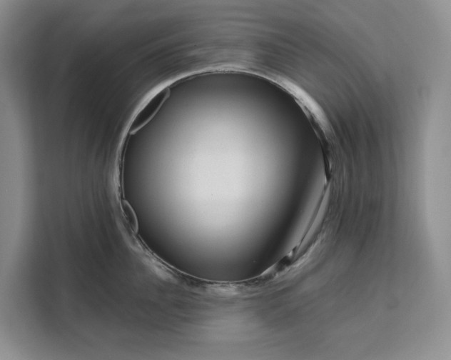 X0000111120956200907141148