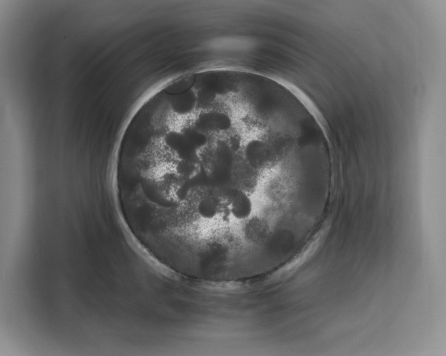 X0000111120957200907141148