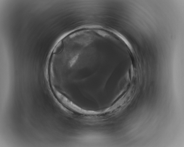 X0000111120959200907141148