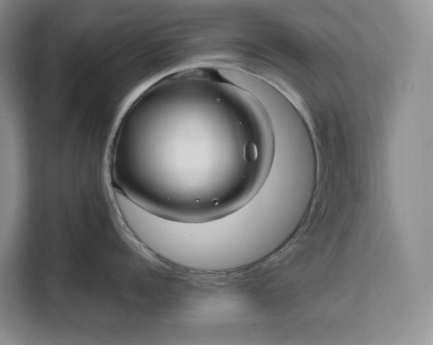 X0000111120960200907141148