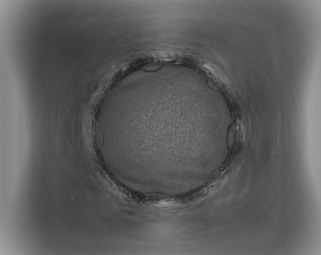 X0000111120961200907141147