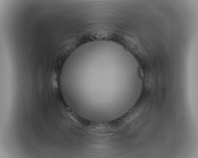 X0000111120962200907141147