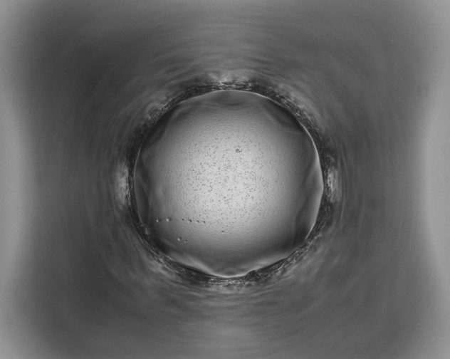 X0000111120963200907141147