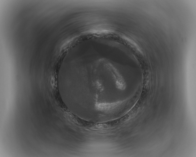 X0000111120966200907141147