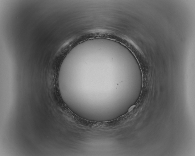 X0000111120967200907141147