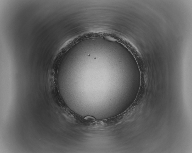 X0000111120968200907141147