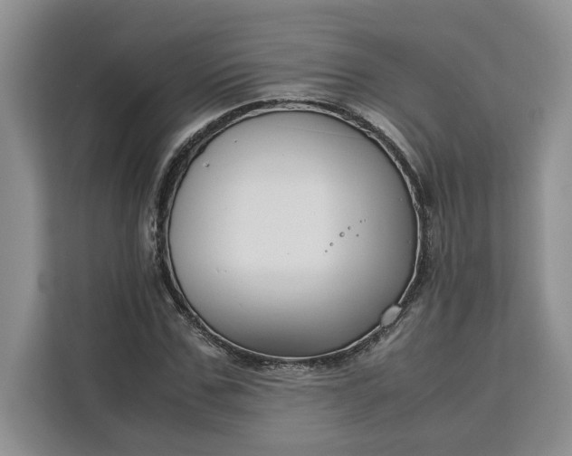 X0000111120971200907141147