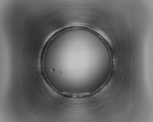 X0000111120972200907141147