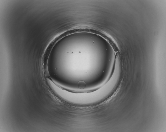 X0000111120973200907141147