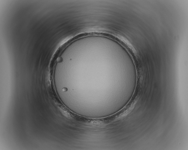 X0000111120974200907141147