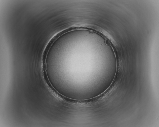 X0000111120976200907141147