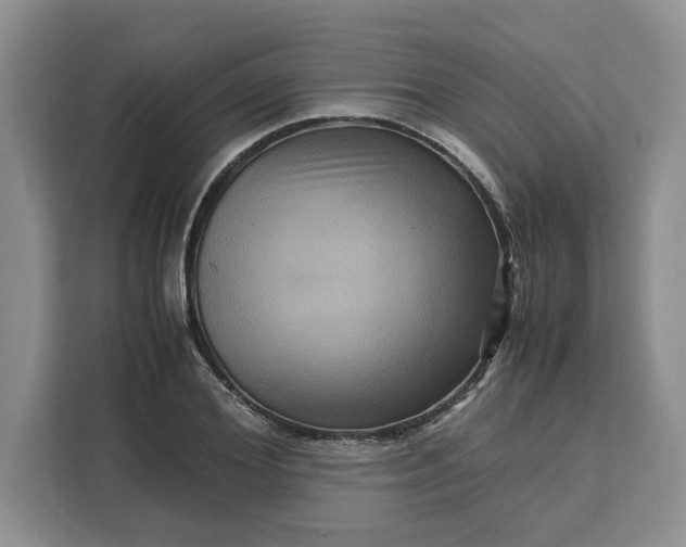 X0000111120980200907141147