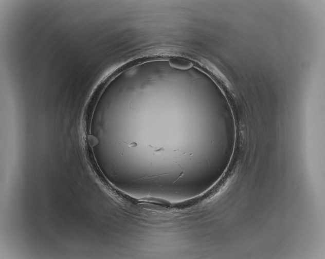 X0000111120981200907141147