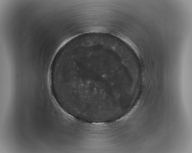 X0000111120983200907141147