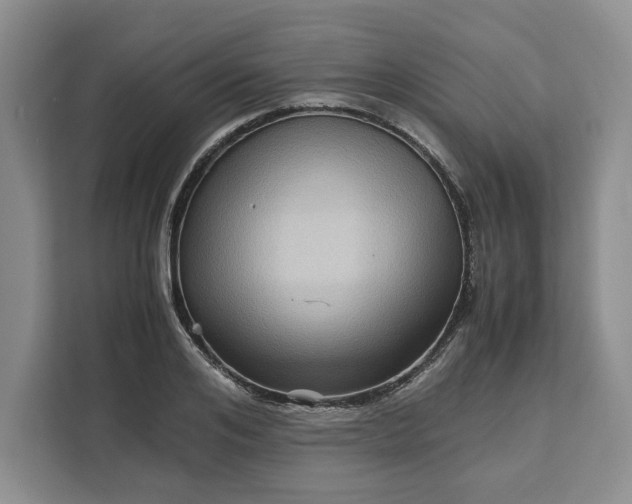 X0000111120984200907141147