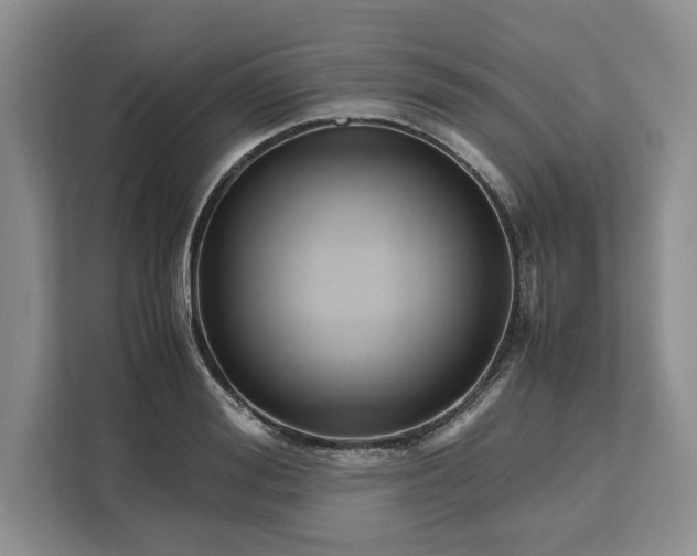 X0000111120988200907141147