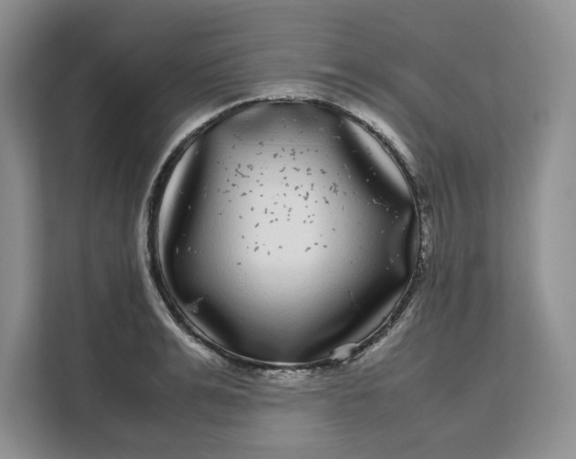 X0000111120991200907141147