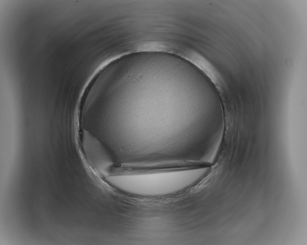 X0000111121000200907141147