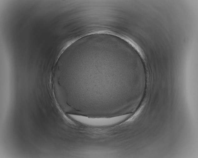 X0000111121001200907141147