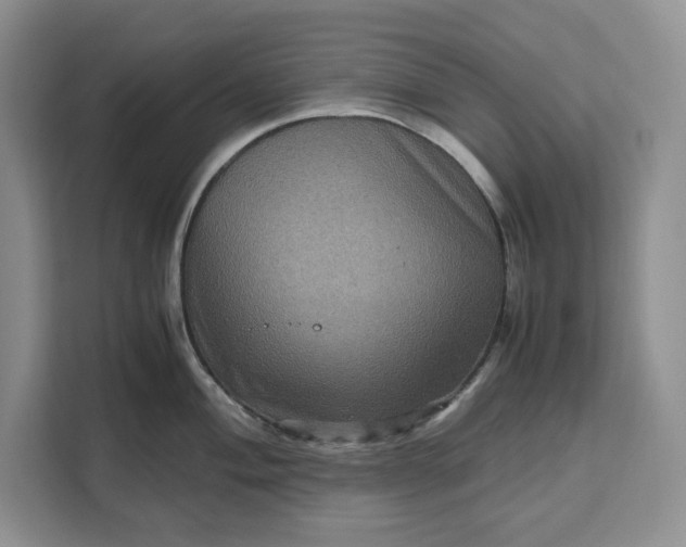 X0000111121004200907141147