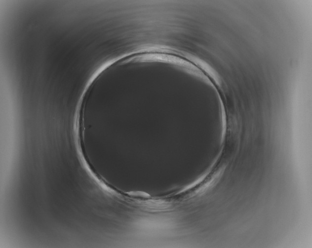 X0000111121007200907141147