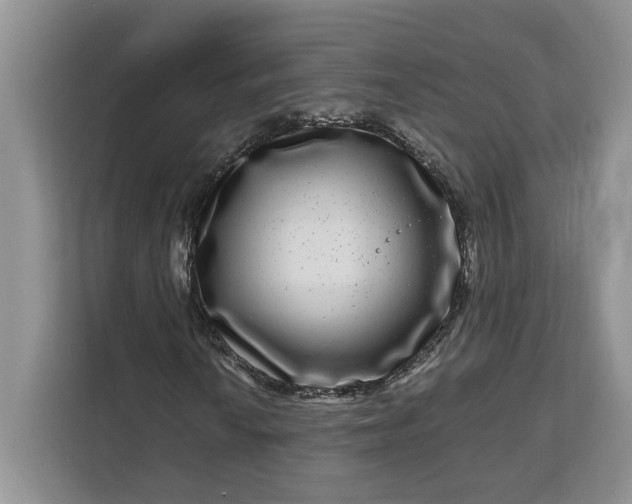 X0000111121010200907141146