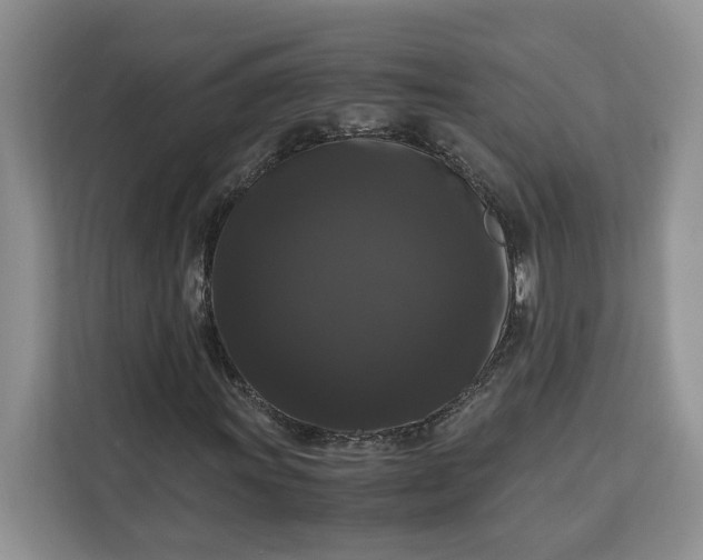 X0000111121011200907141146