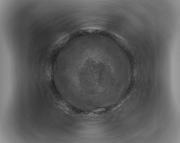 X0000111121014200907141146