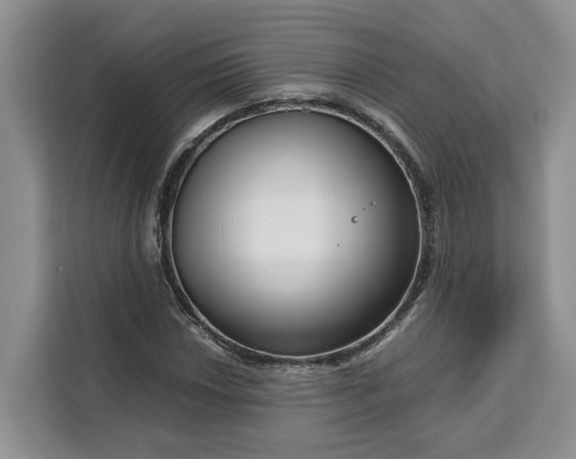 X0000111121018200907141146