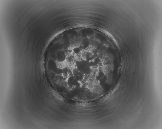 X0000111121019200907141146