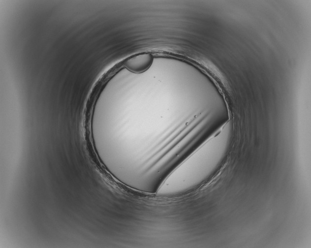 X0000111121020200907141146