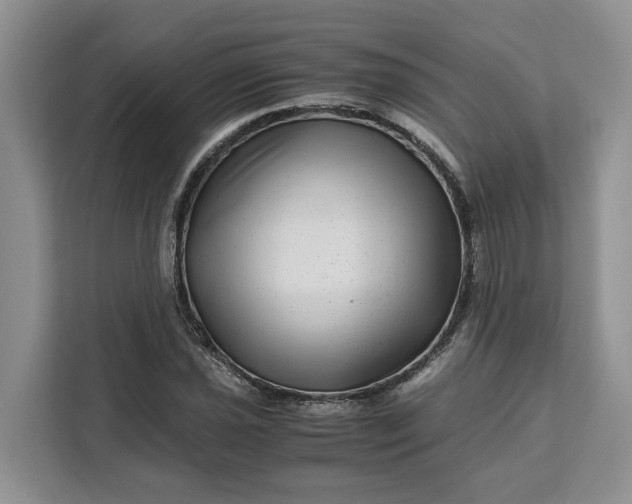 X0000111121021200907141146