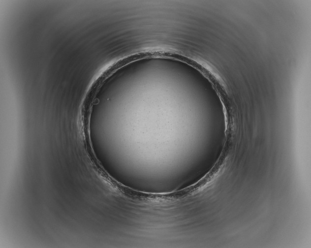 X0000111121022200907141146