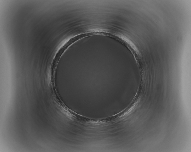 X0000111121023200907141146