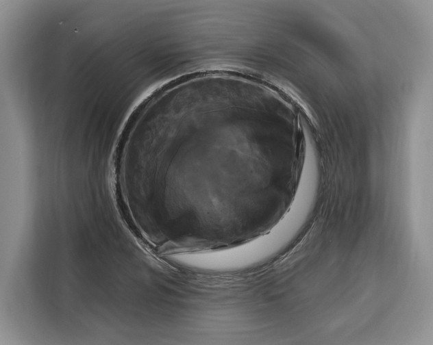 X0000111121024200907141146