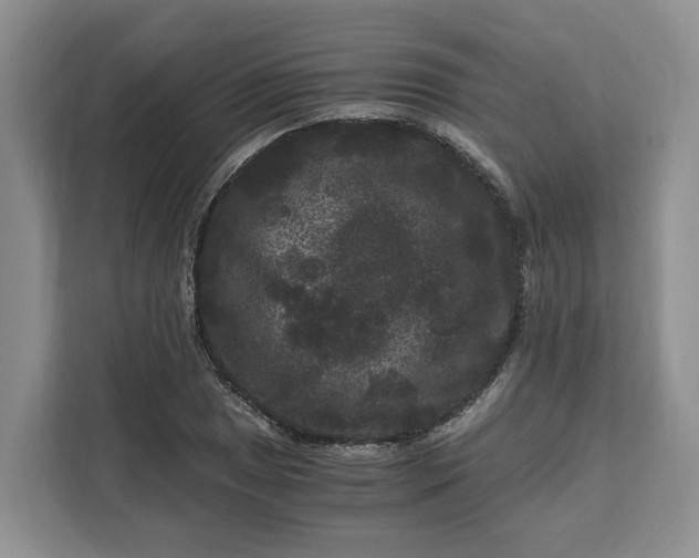 X0000111121025200907141146