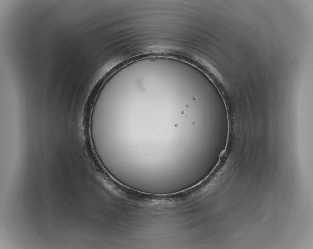 X0000111121026200907141146