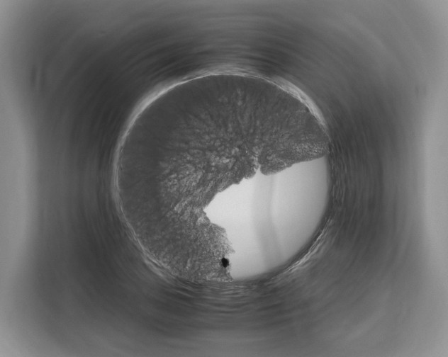 X0000111121027200907141146