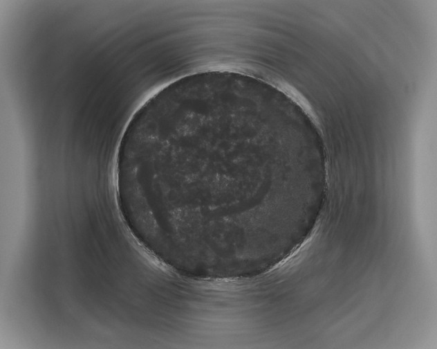 X0000111121028200907141146