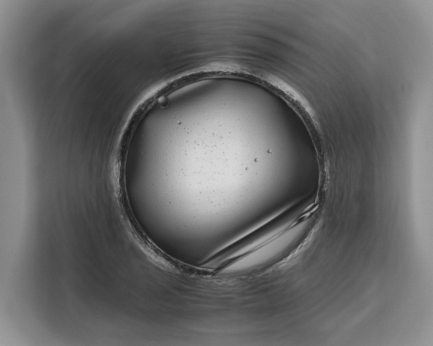 X0000111121029200907141146